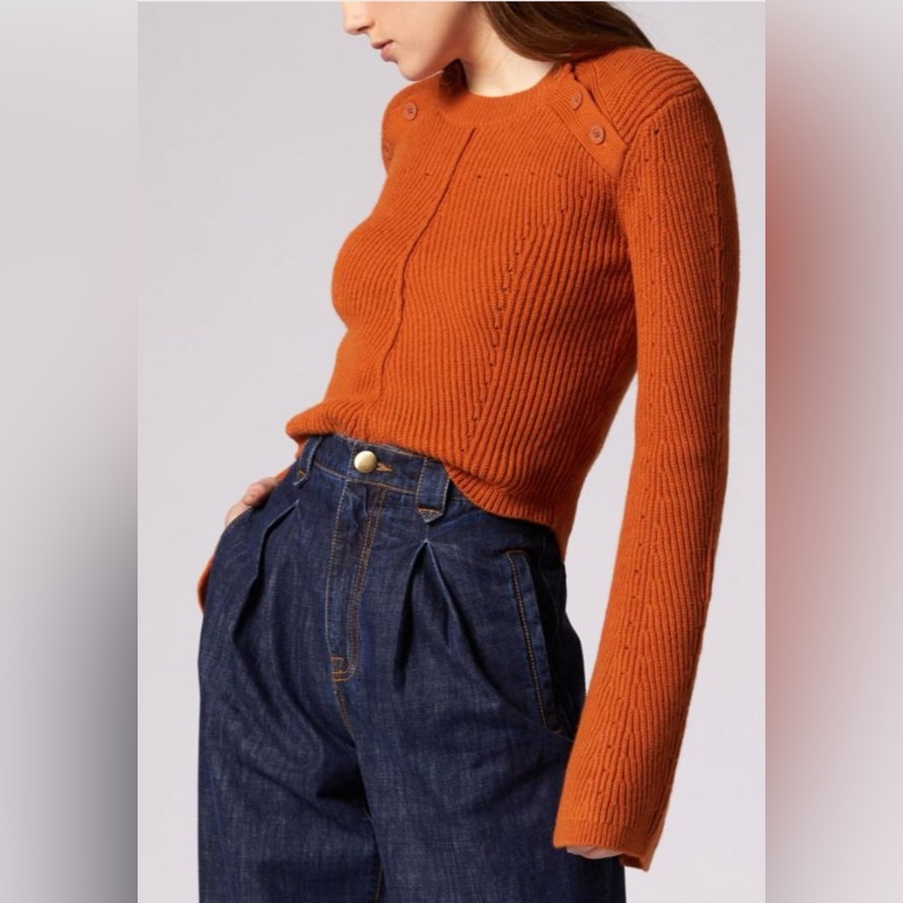 NWT | JOIE Ciaran Long Wide Slit Sleeve Knit Sweater in Umber Cinnamon Copper